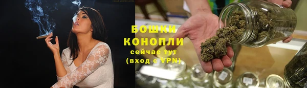 спиды Богданович